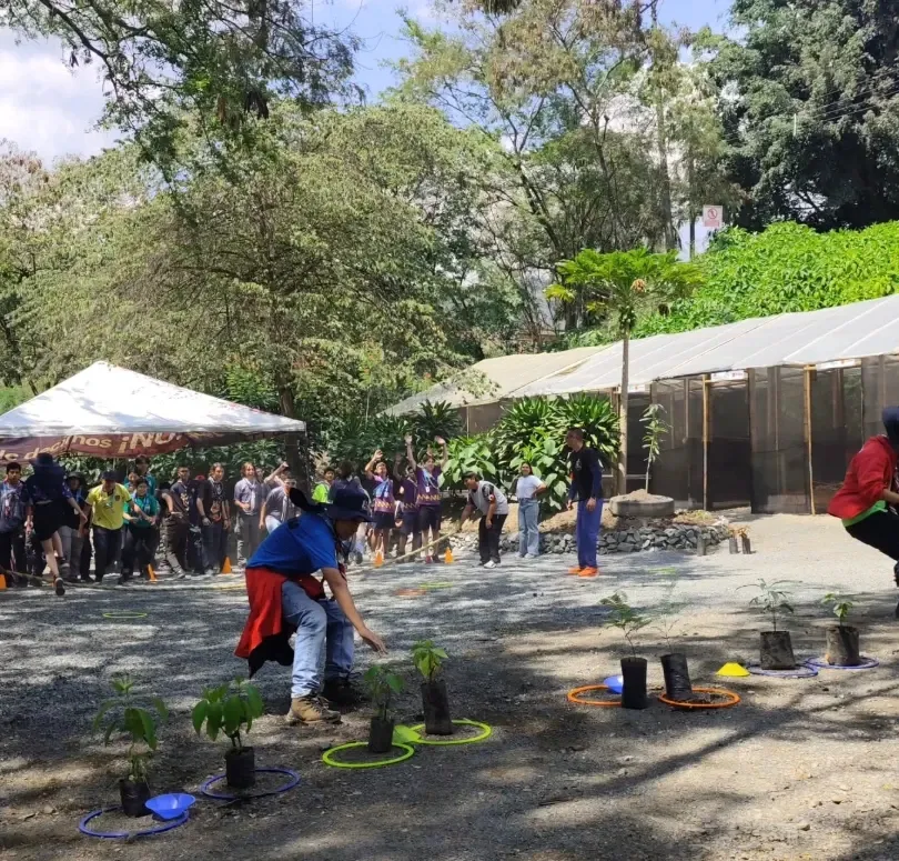 Estudiantes participan en un juego con plántulas en bolsa en el patio del vivero.