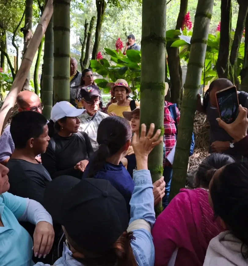 Participantes reunidos alrededor de una guadua; algunos toman fotos con el celular.