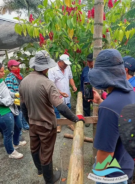 Un instructor con guantes explica el uso de una guadua a un grupo junto al vivero.