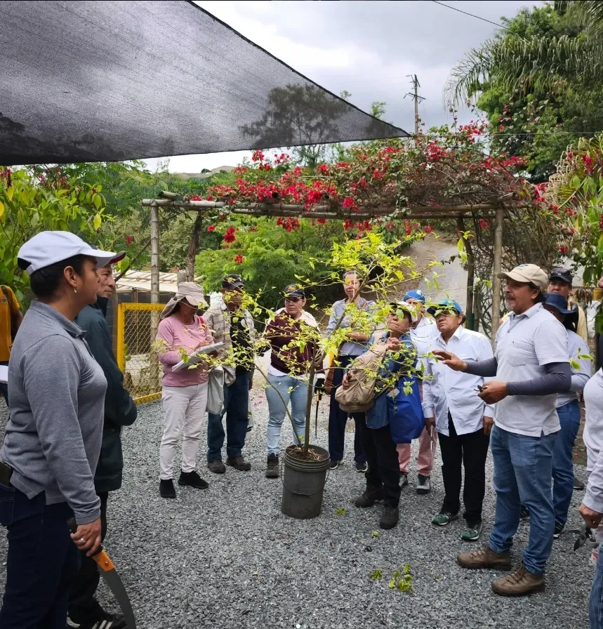 Un instructor explica el manejo de un árbol en matera a un grupo bajo la polisombra del vivero.