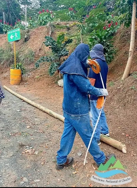 Dos personas con ropa de protección trabajan en el camino junto a una guadua.